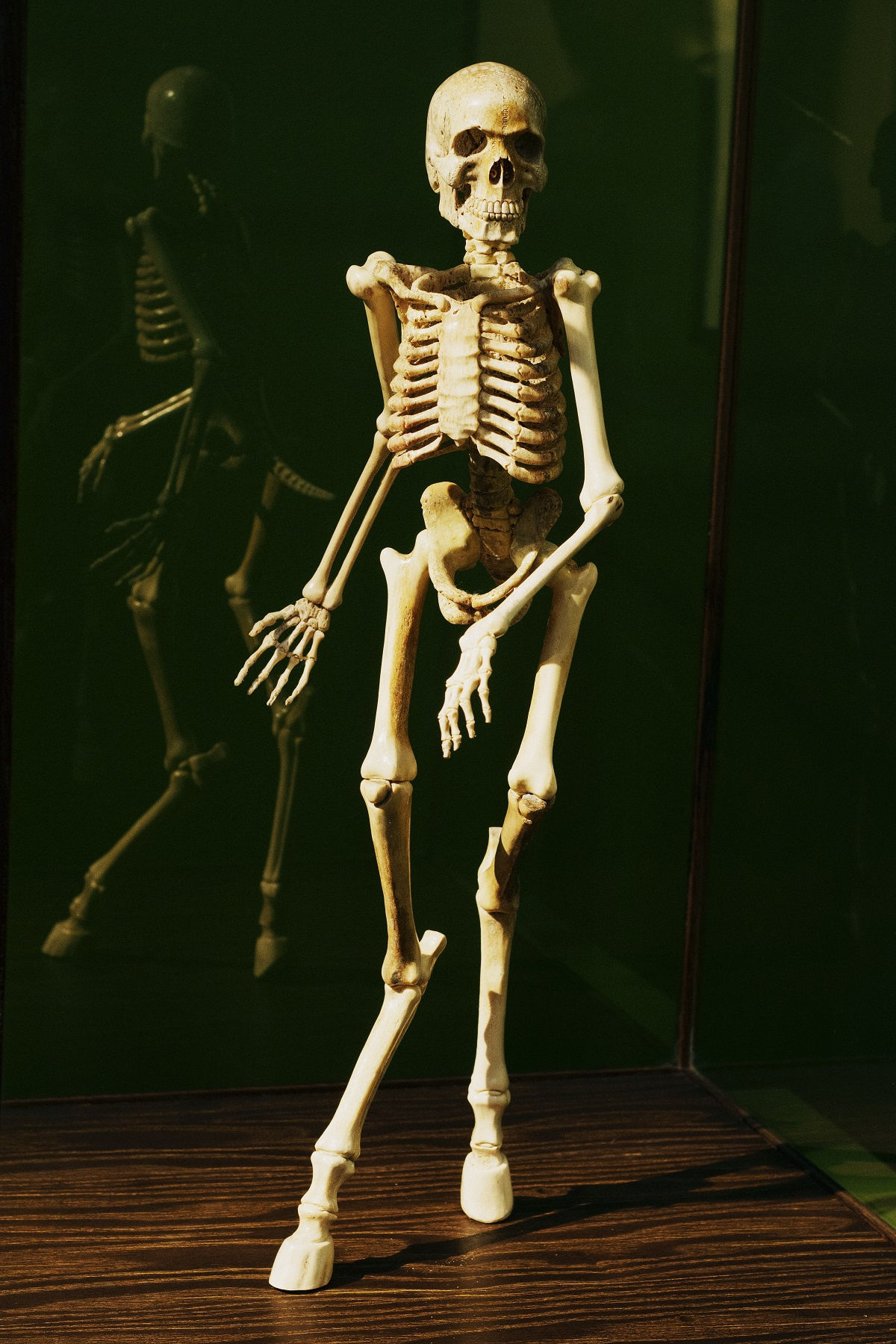 AOO, Je me suis vue... centaure, 2016