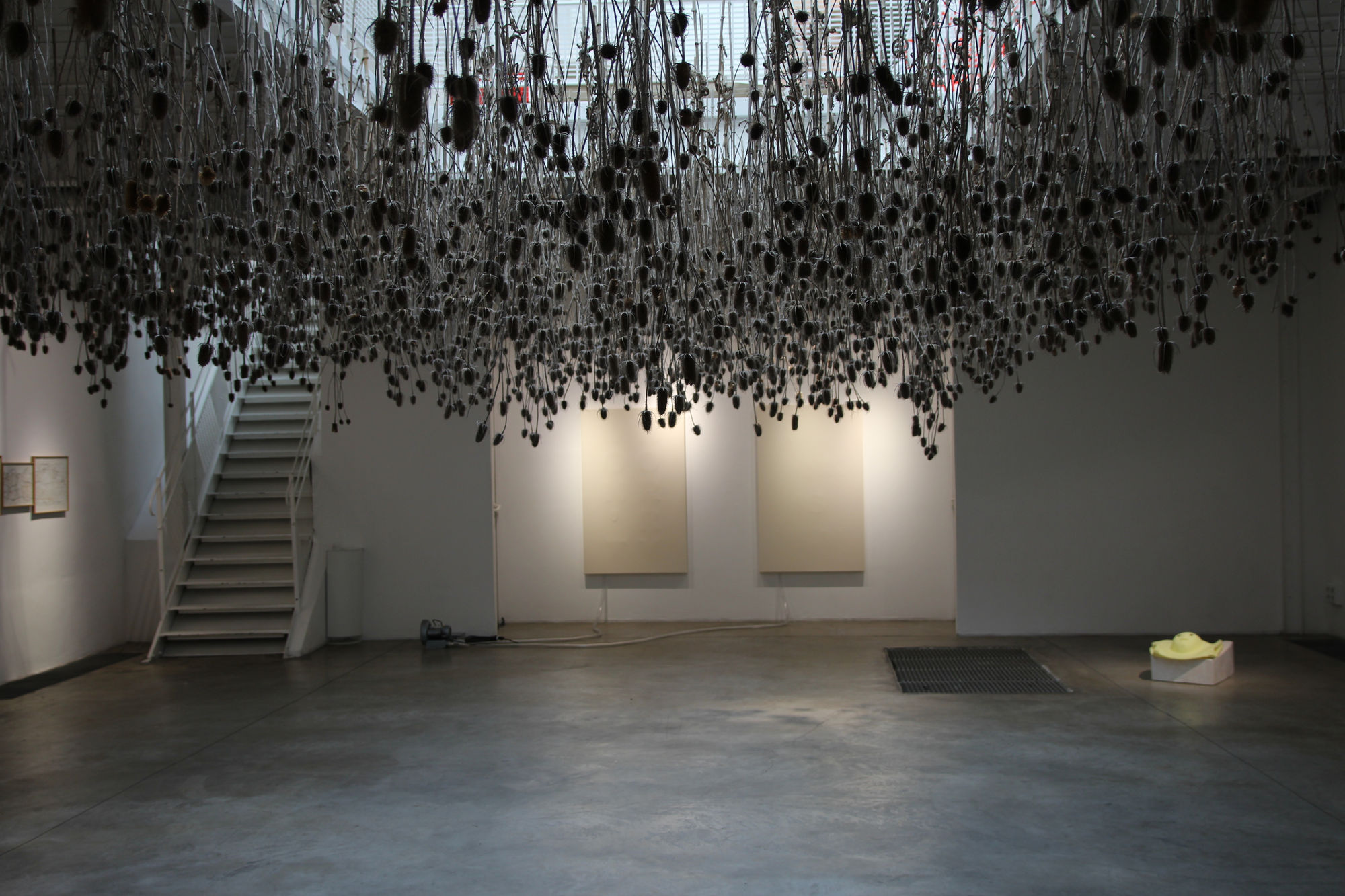 Chronique du Trouble