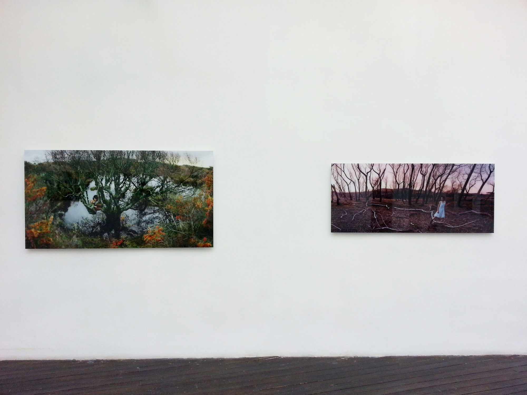 Ellen Kooi | As It Happens