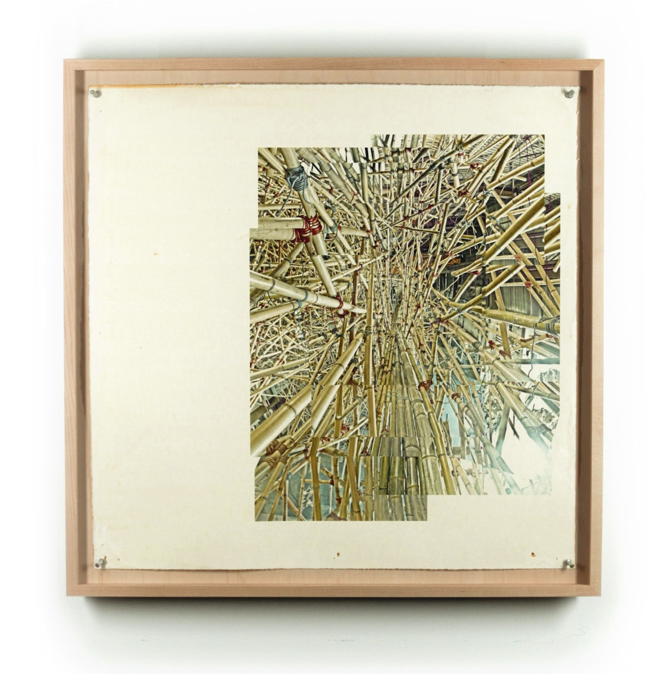 Can’t, Won’t, Don’t Stop