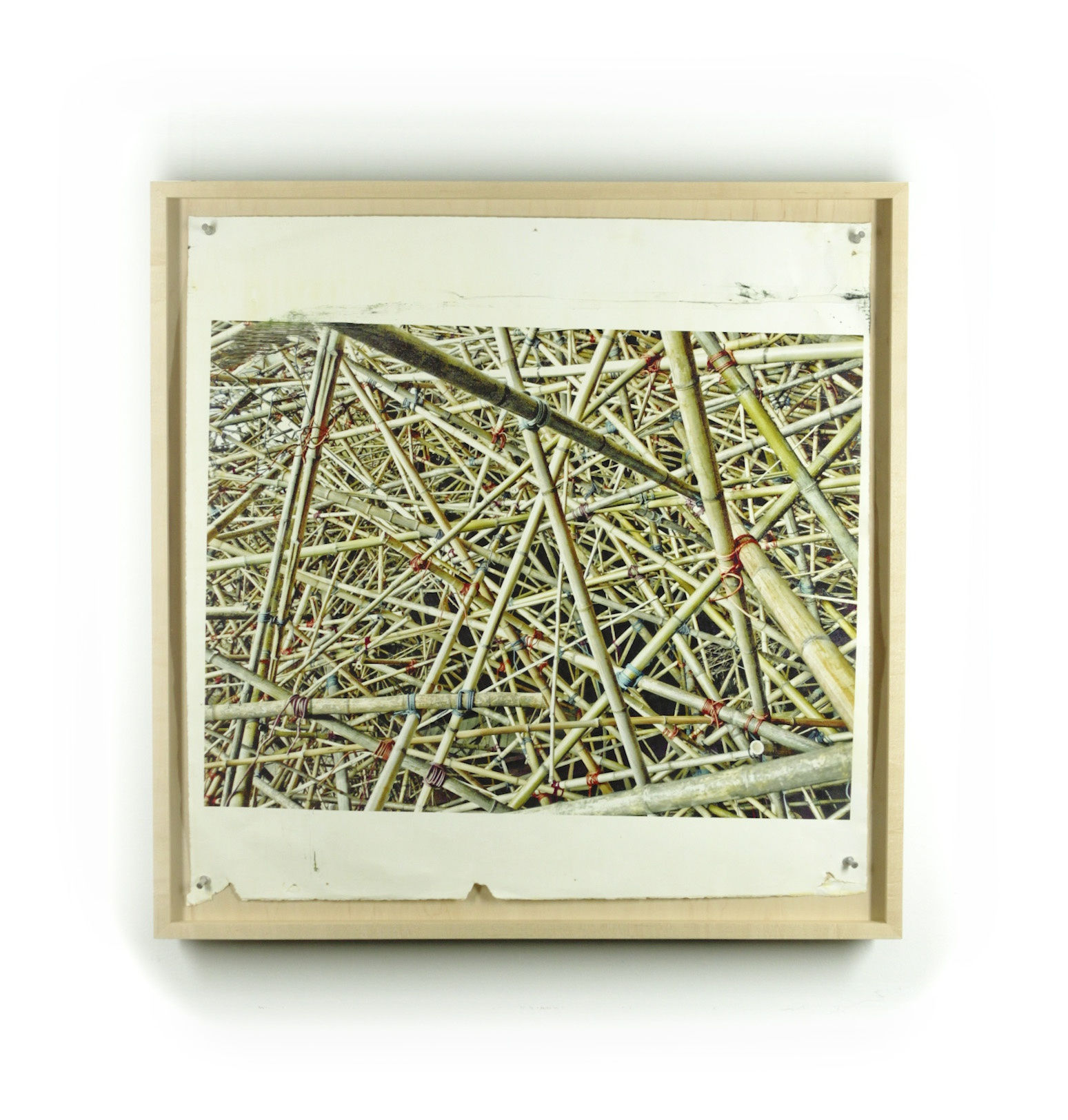 Can’t, Won’t, Don’t Stop