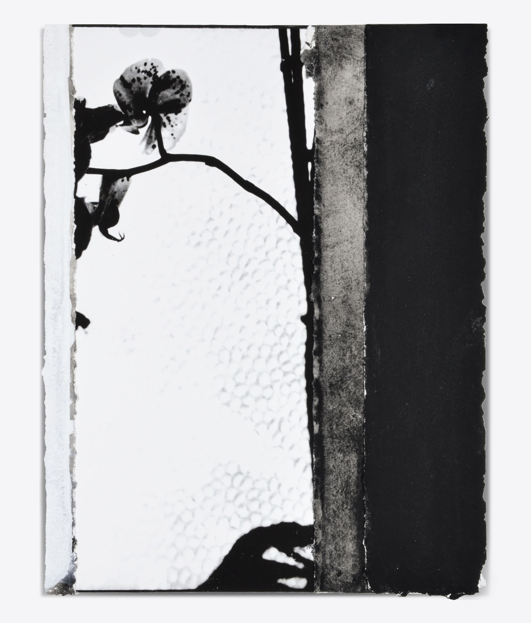 Ian McKeever: Gerlinde