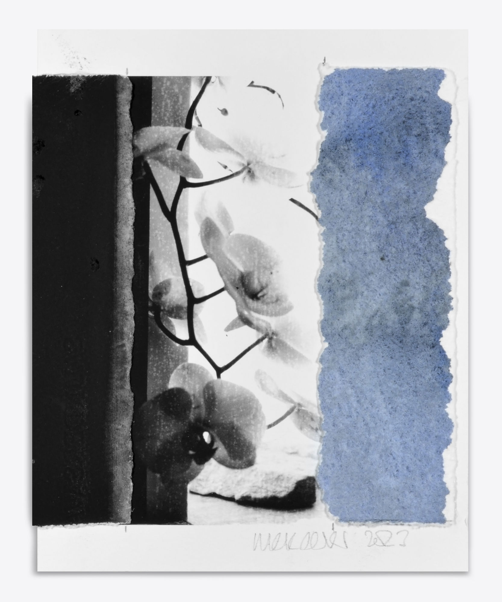 Ian McKeever: Gerlinde