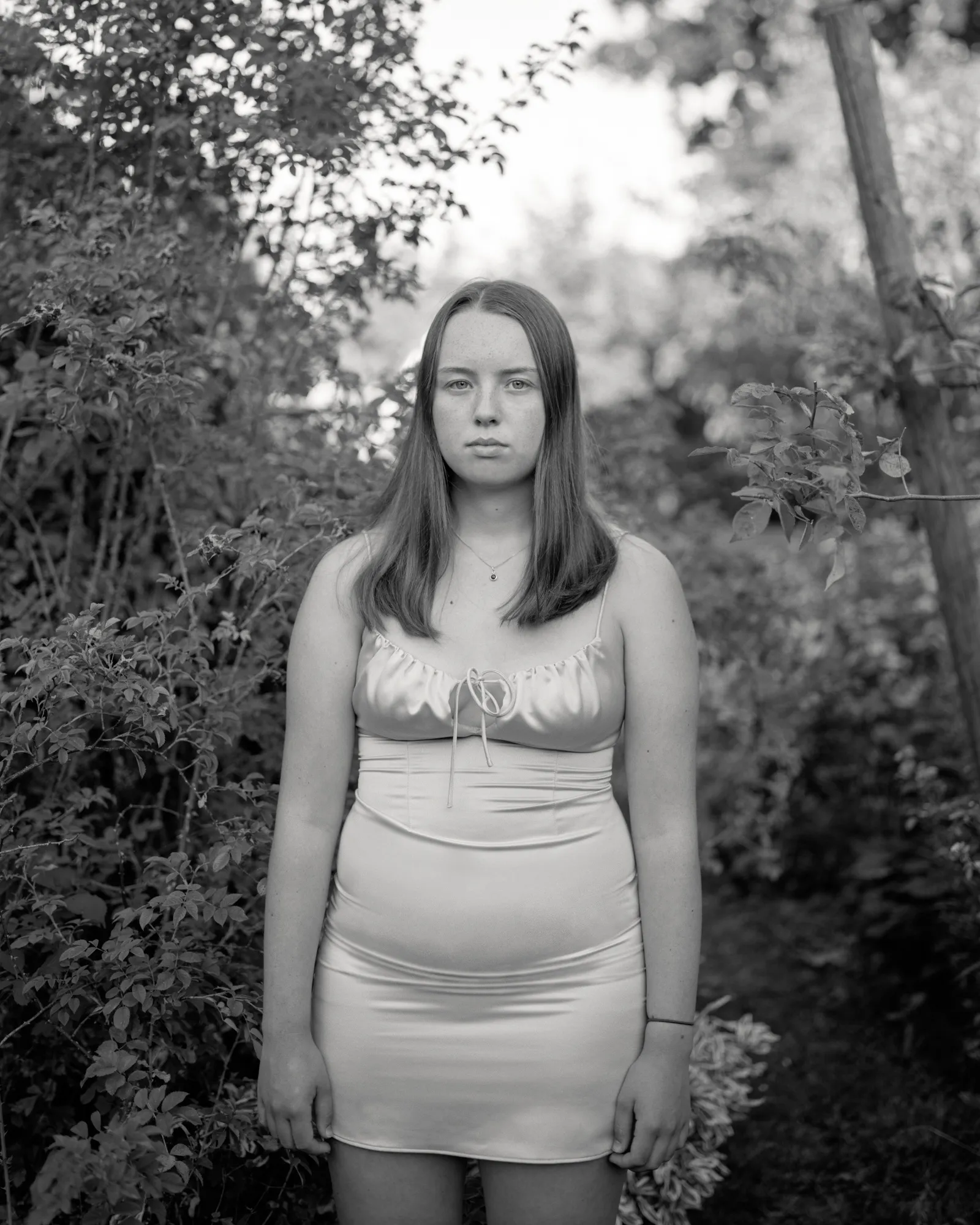 Alys Tomlinson: Lost Summer