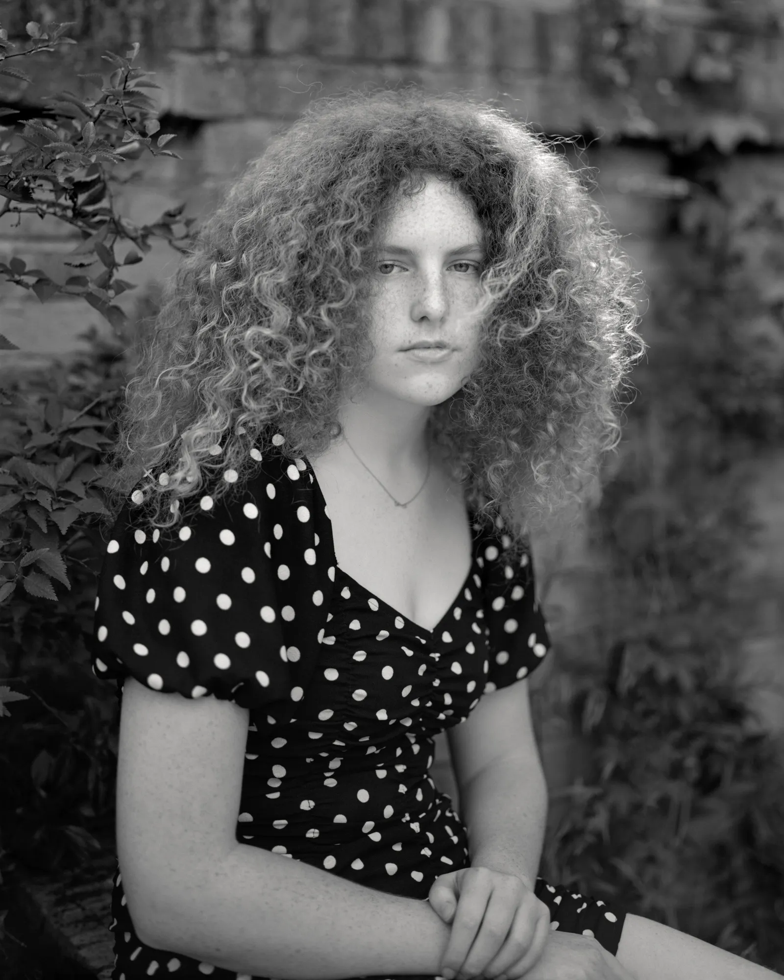 Alys Tomlinson: Lost Summer