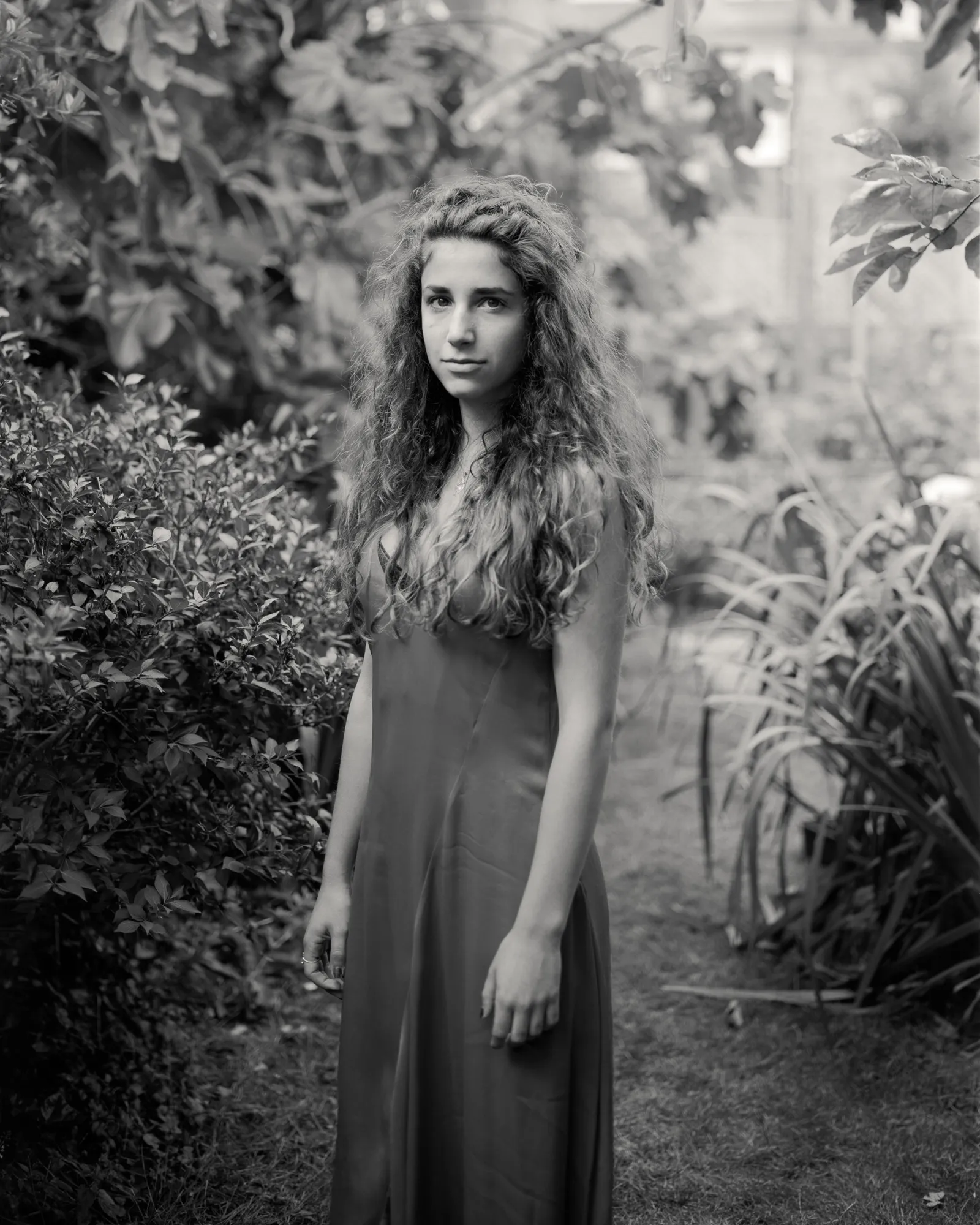 Alys Tomlinson: Lost Summer