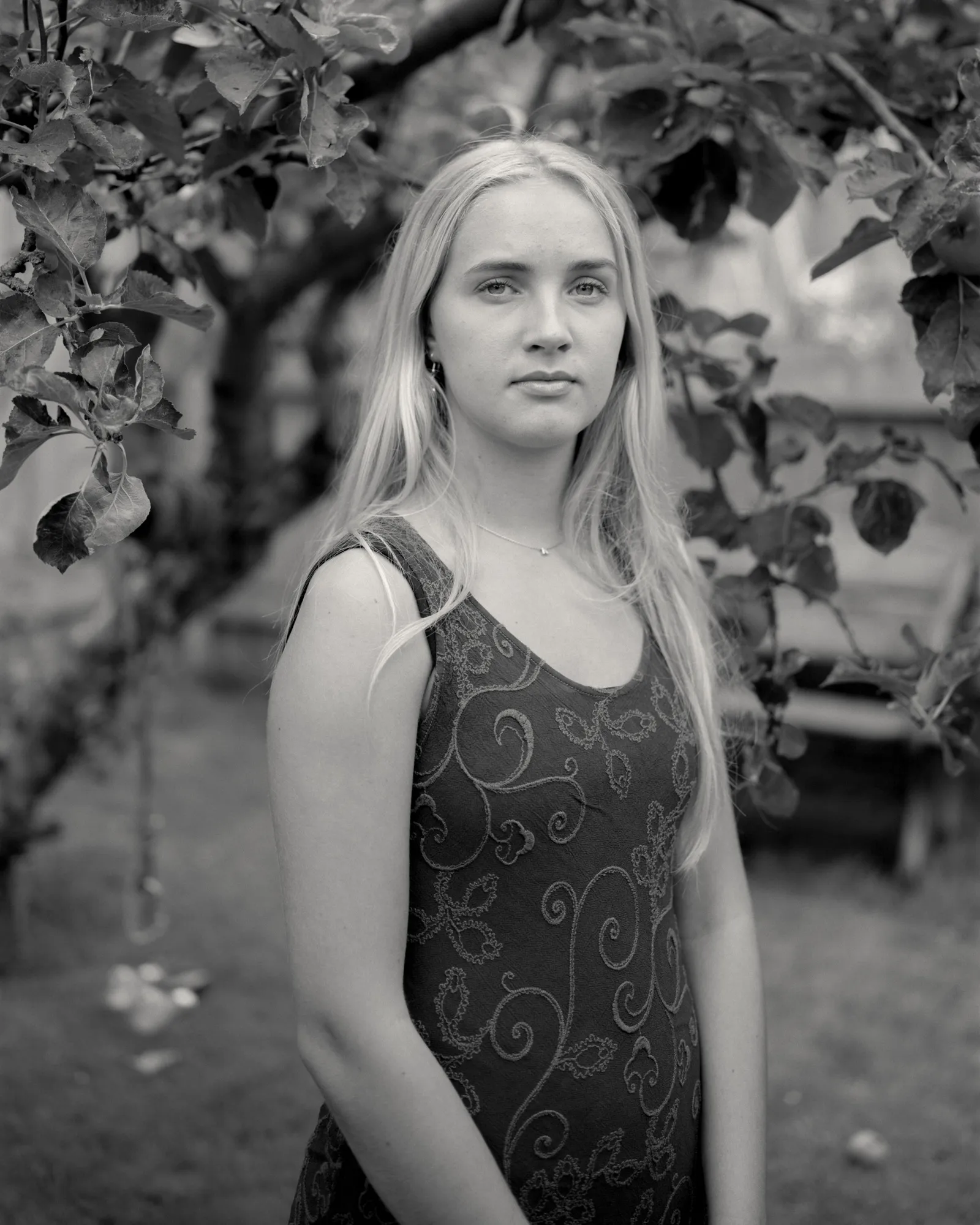 Alys Tomlinson: Lost Summer