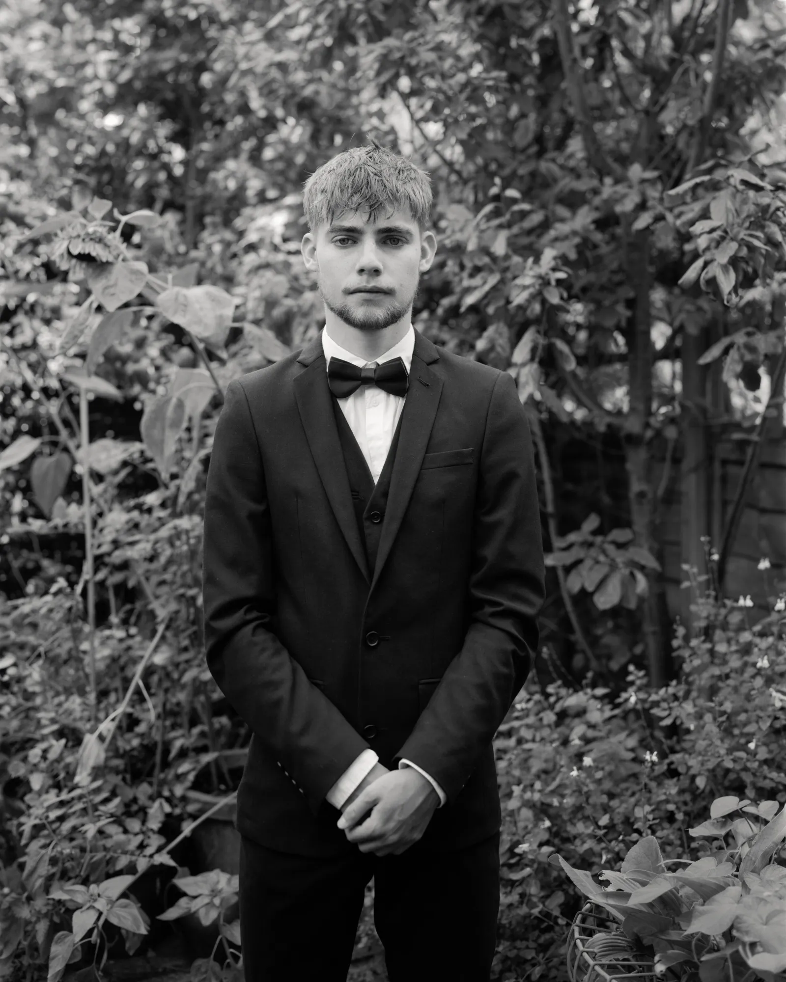 Alys Tomlinson: Lost Summer