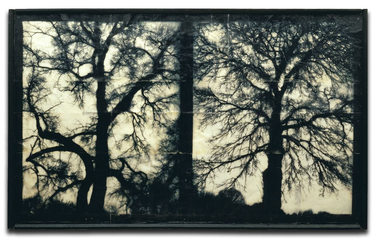 HackelBury: Twenty-one