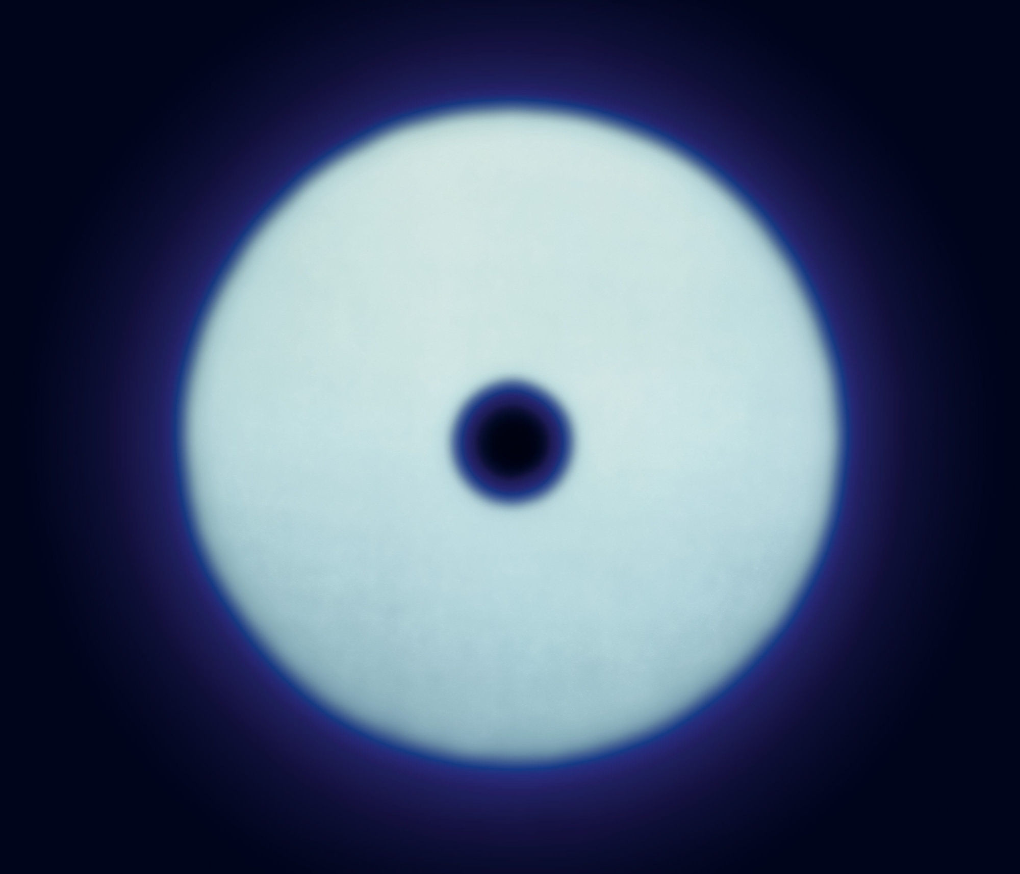 HackelBury: Twenty-one