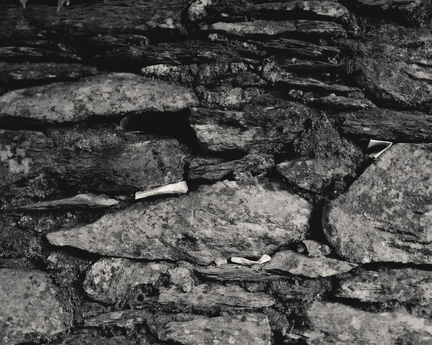 HackelBury: Twenty-one