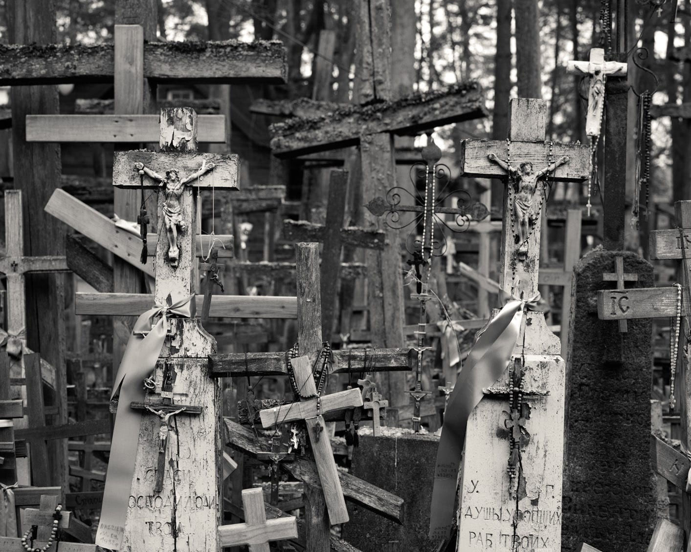 Alys Tomlinson: Ex-Voto