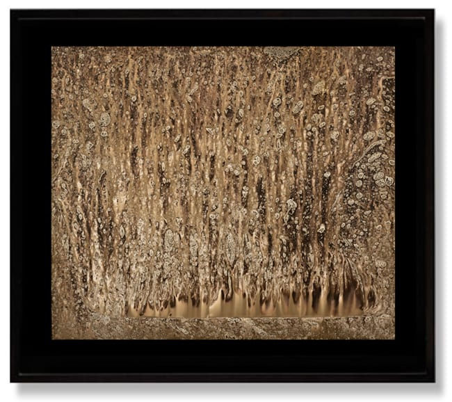 Alchemy: Garry Fabian Miller, Pierre Cordier and Nadezda Nikolova-Kratzer