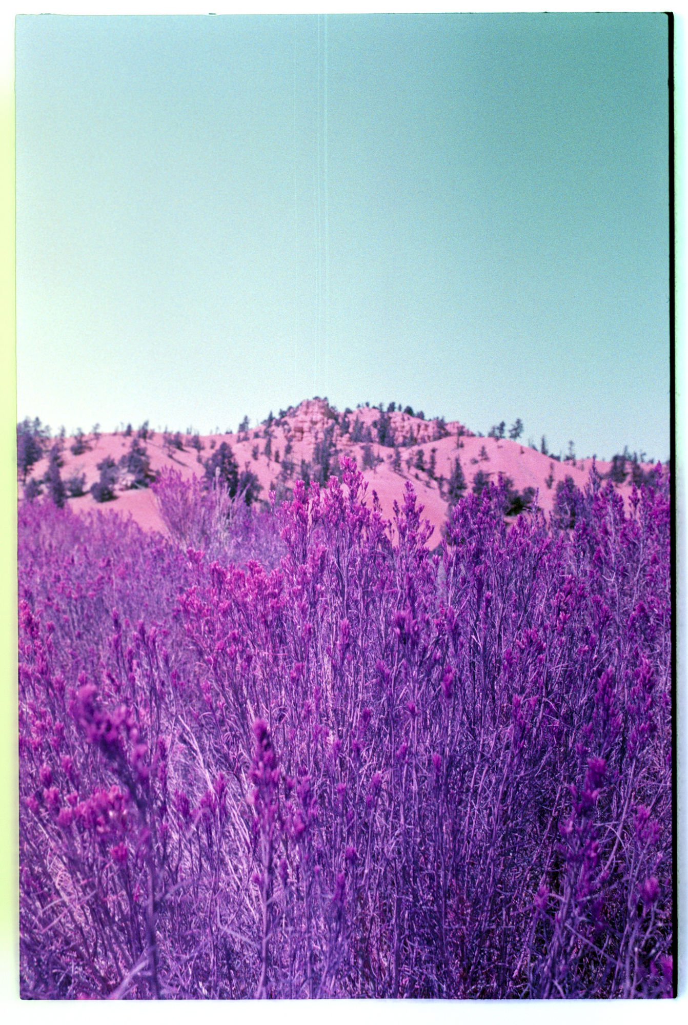 JAVIERA ESTRADA A New Earth, 2023