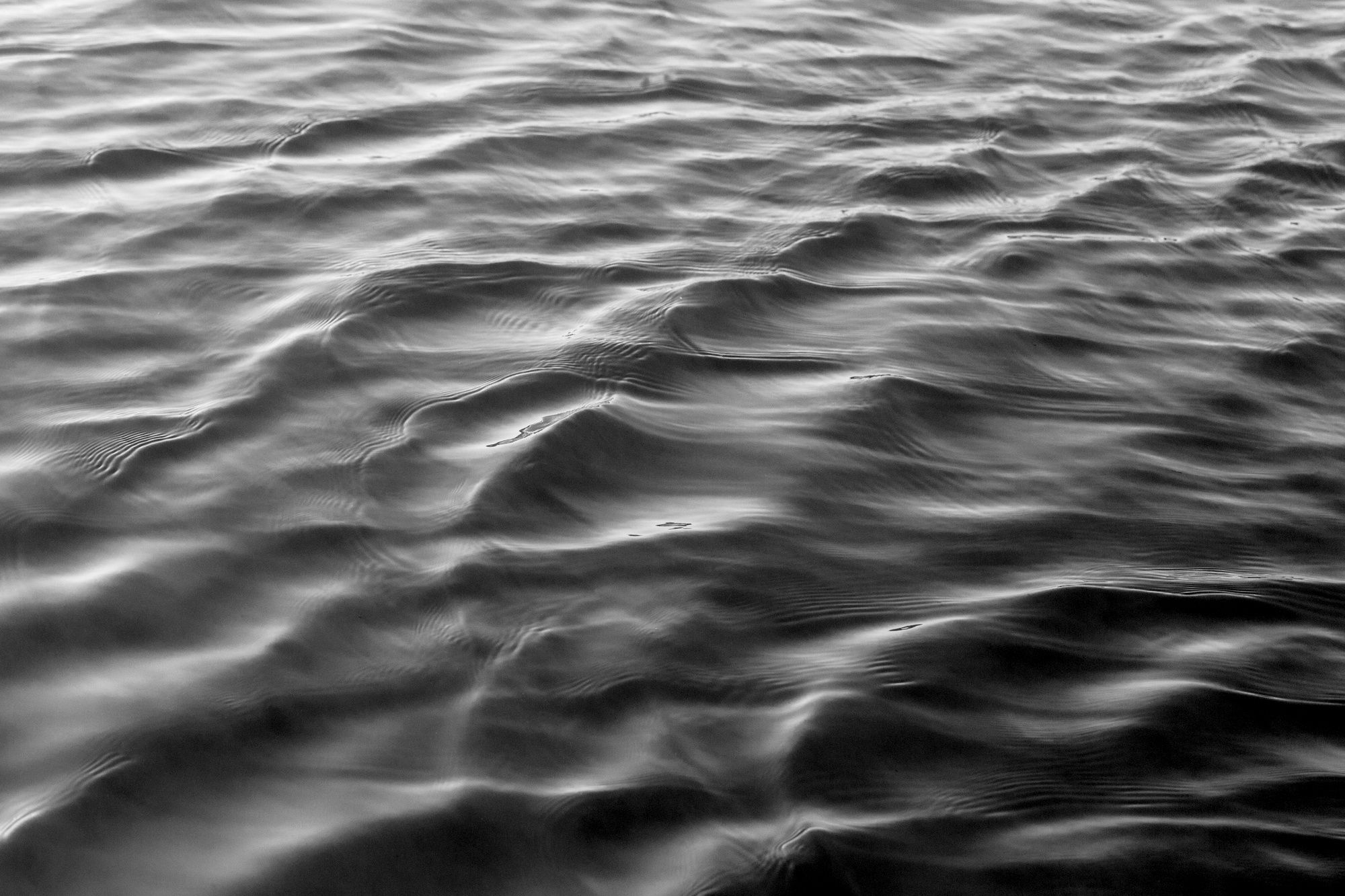 VICTORIA MARA HEILWEIL Ebb and Flow, 2024