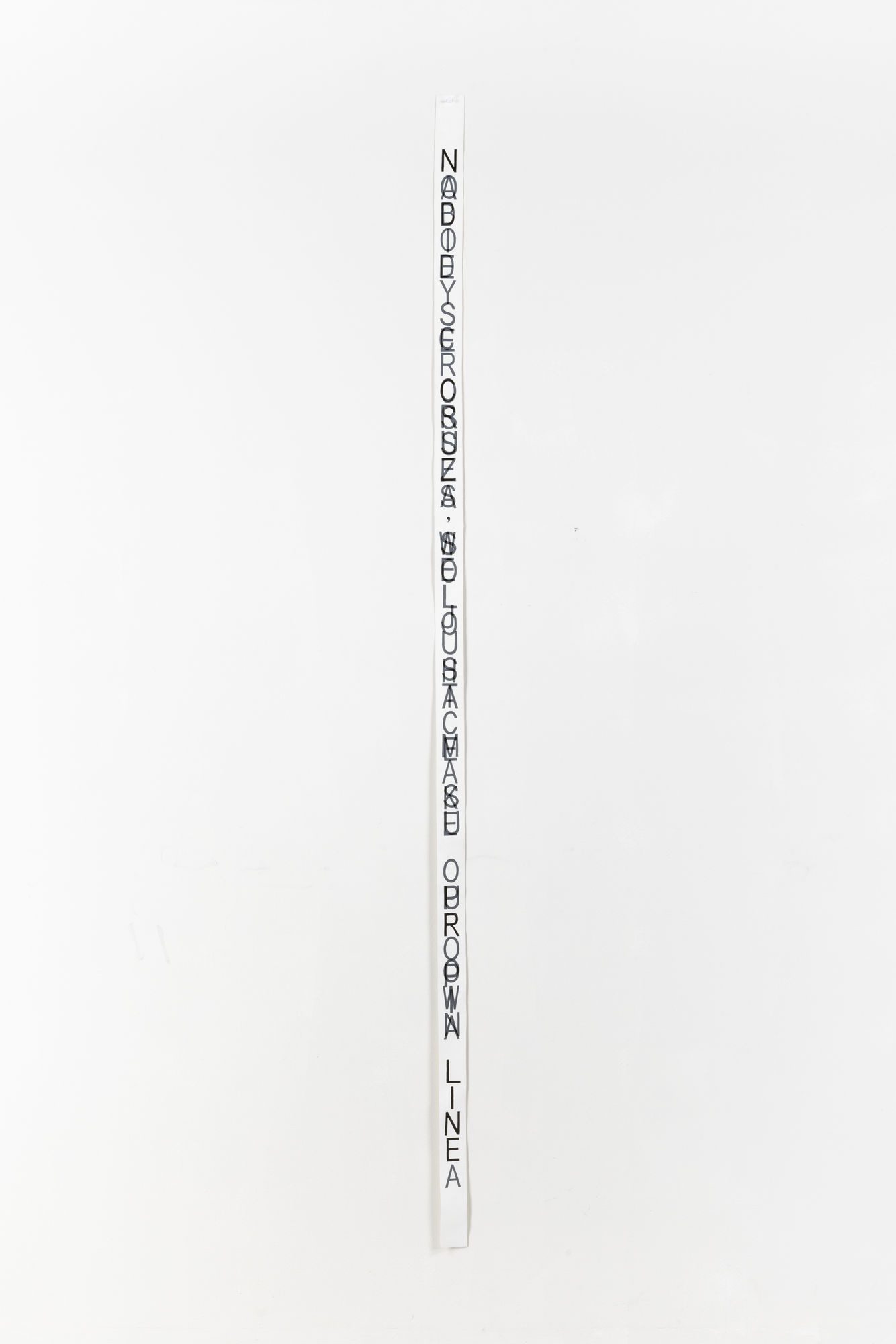 LUIS FELIPE CHÁVEZ Nobody crosses, we just make our own line. Nadie se cruza, solo hace su propia línea, 2025