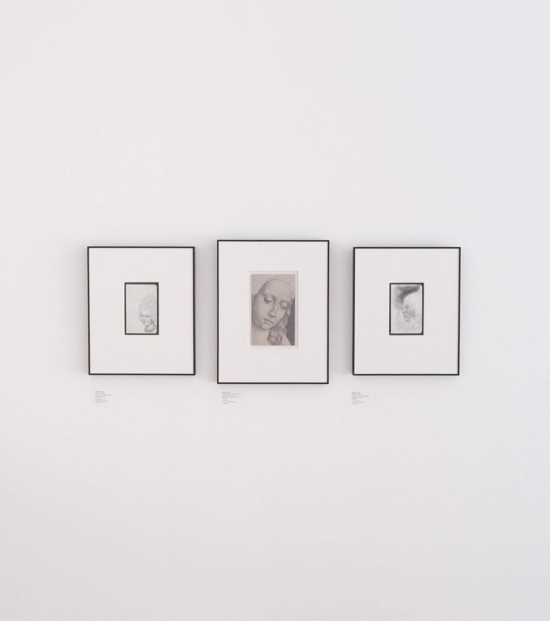 Pippa Young | Fragmented Truths