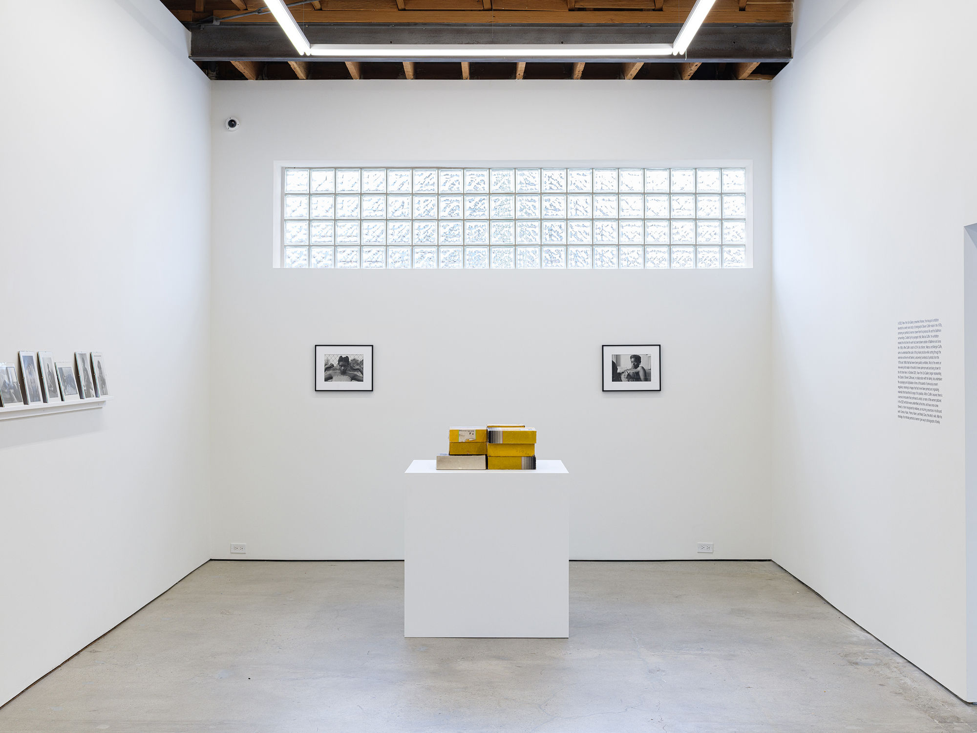 Steven Cuffie: Women and the Archive (Offsite)