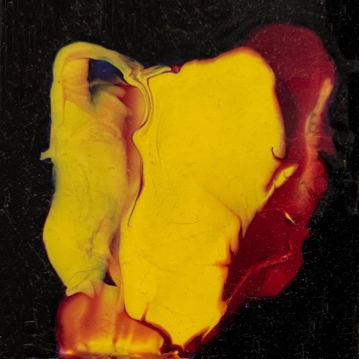 Fabrik Projects Holiday Gift Guide