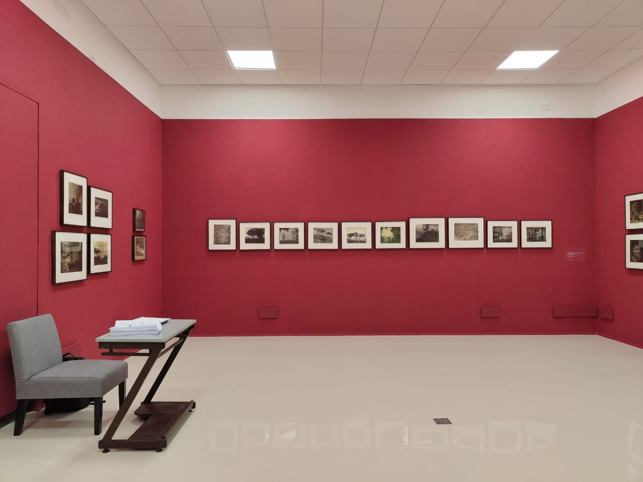 An Enduring Legacy: Lalit Mohan Sen