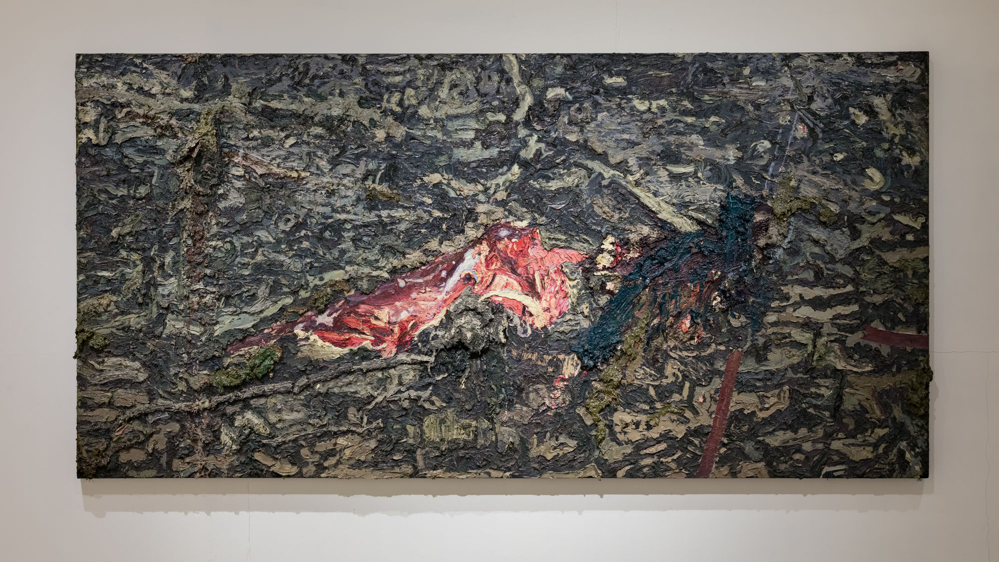 Field Notes (On the Afterlife of Trees)