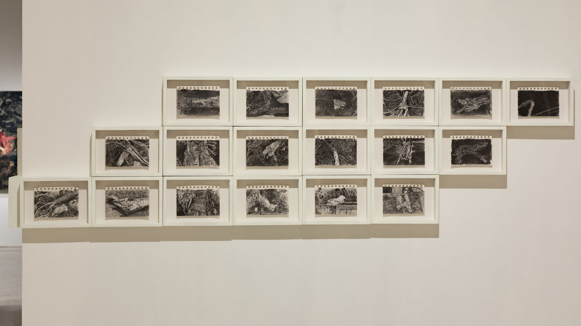 Field Notes (On the Afterlife of Trees)