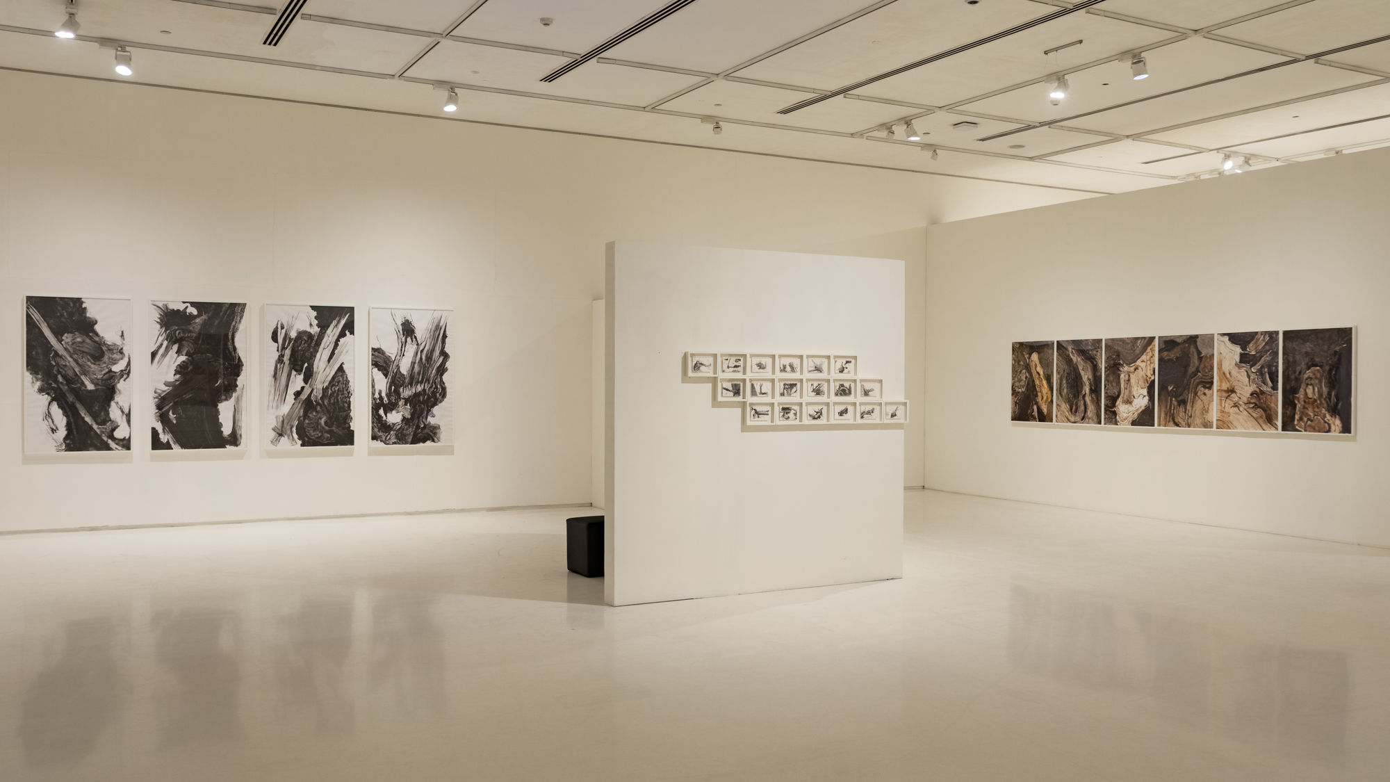 Field Notes (On the Afterlife of Trees)