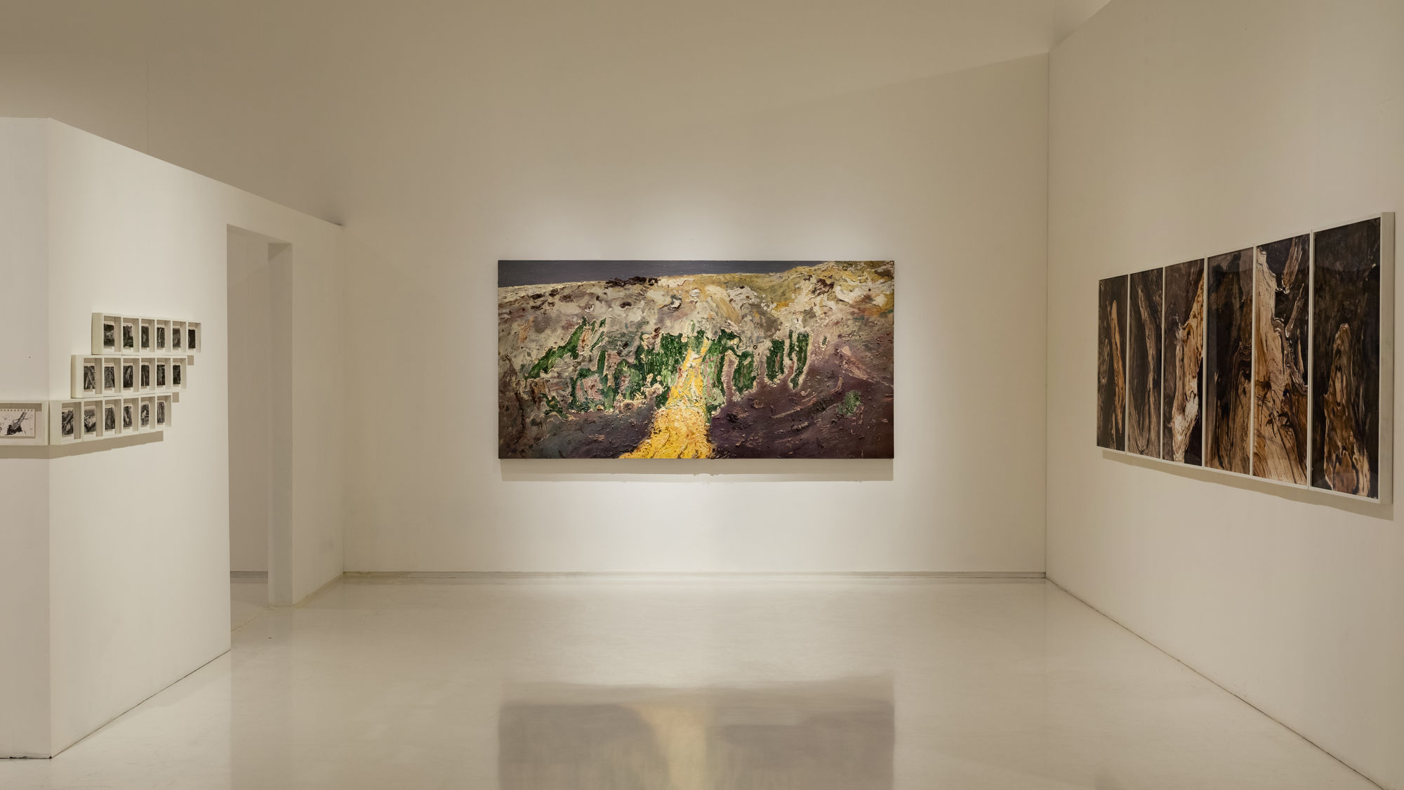 Field Notes (On the Afterlife of Trees)