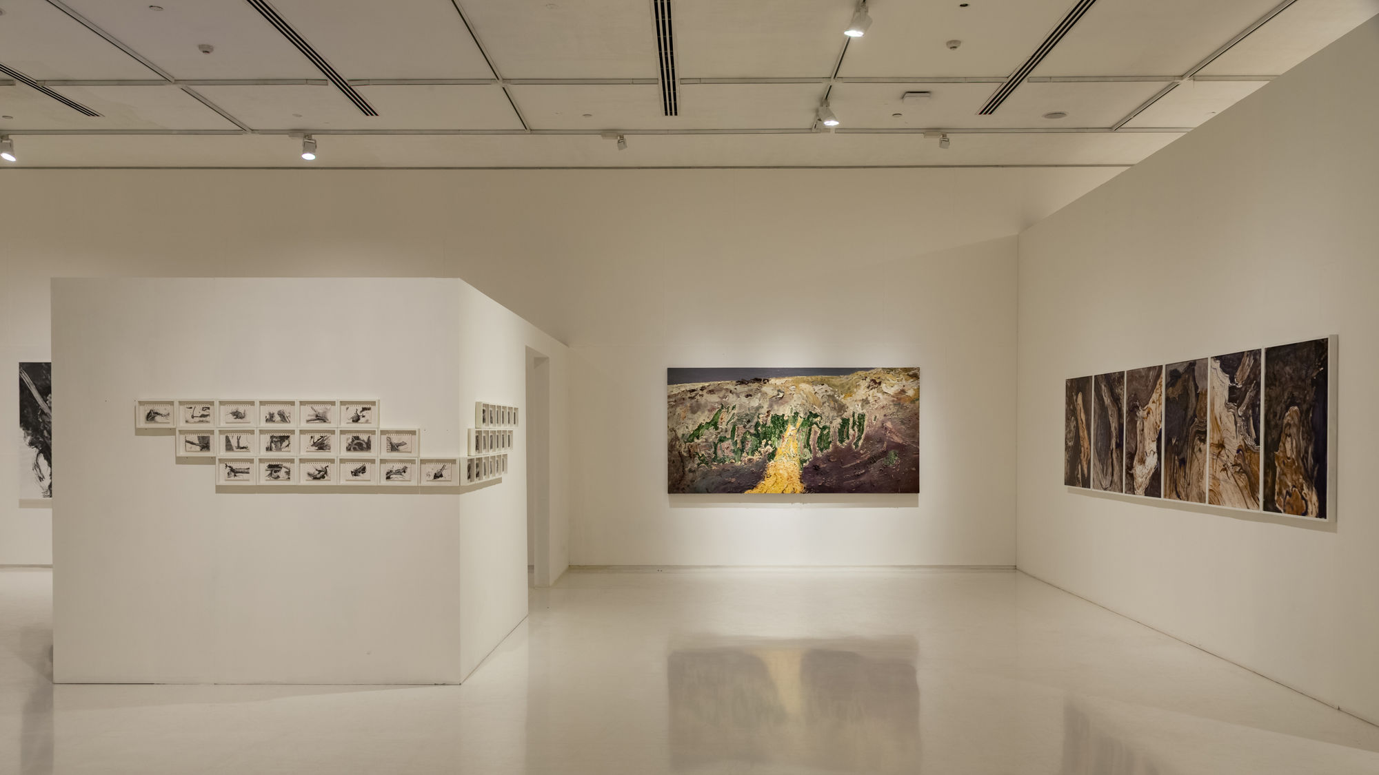 Field Notes (On the Afterlife of Trees)