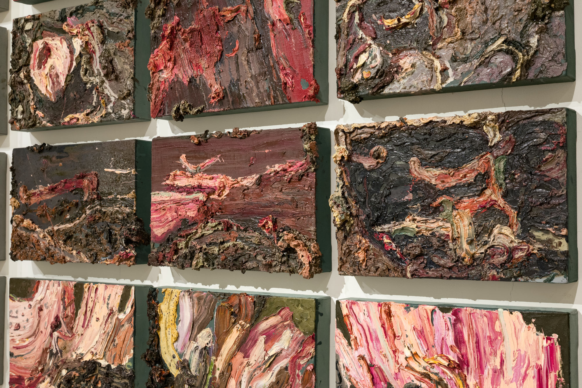 Field Notes (On the Afterlife of Trees)