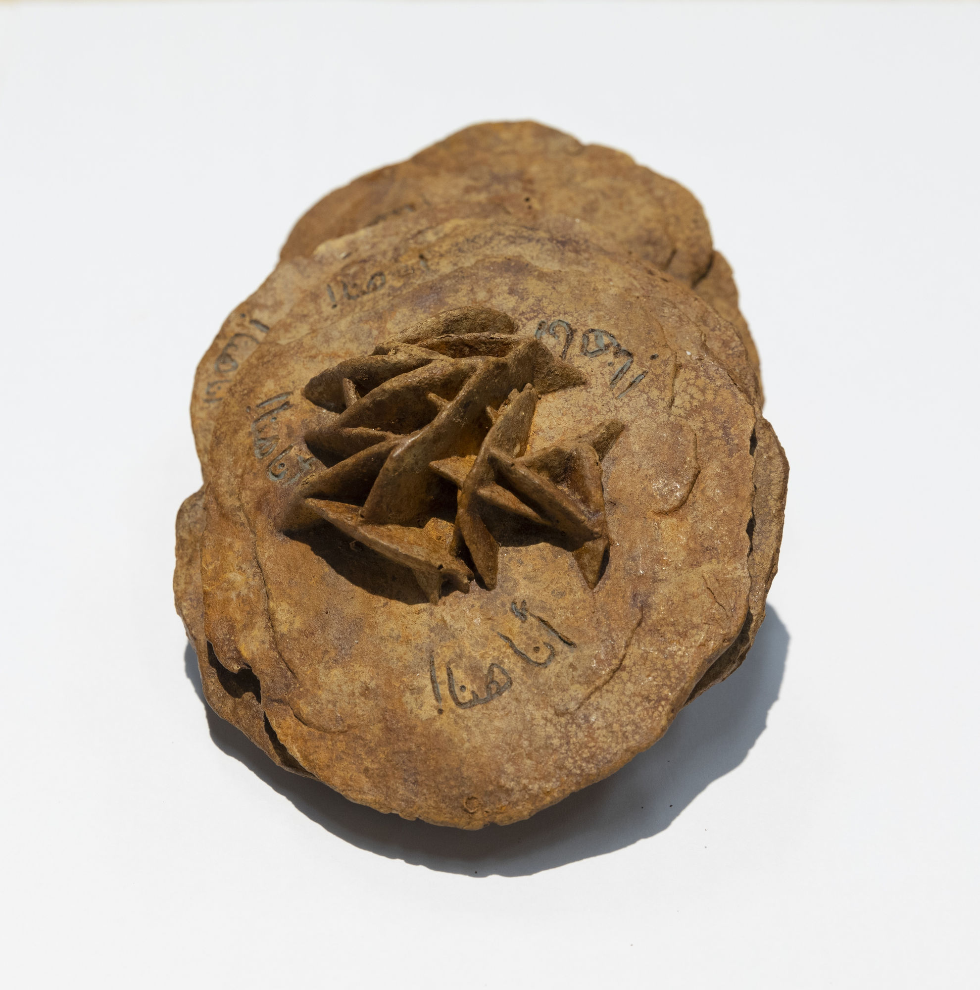 I AM HERE! | انا هنا 2019 METAL COATED DESERT ROSE | وردة الصحراء المغلفة بالمعادن 10 X 15 X 16 CM EDITION OF 30