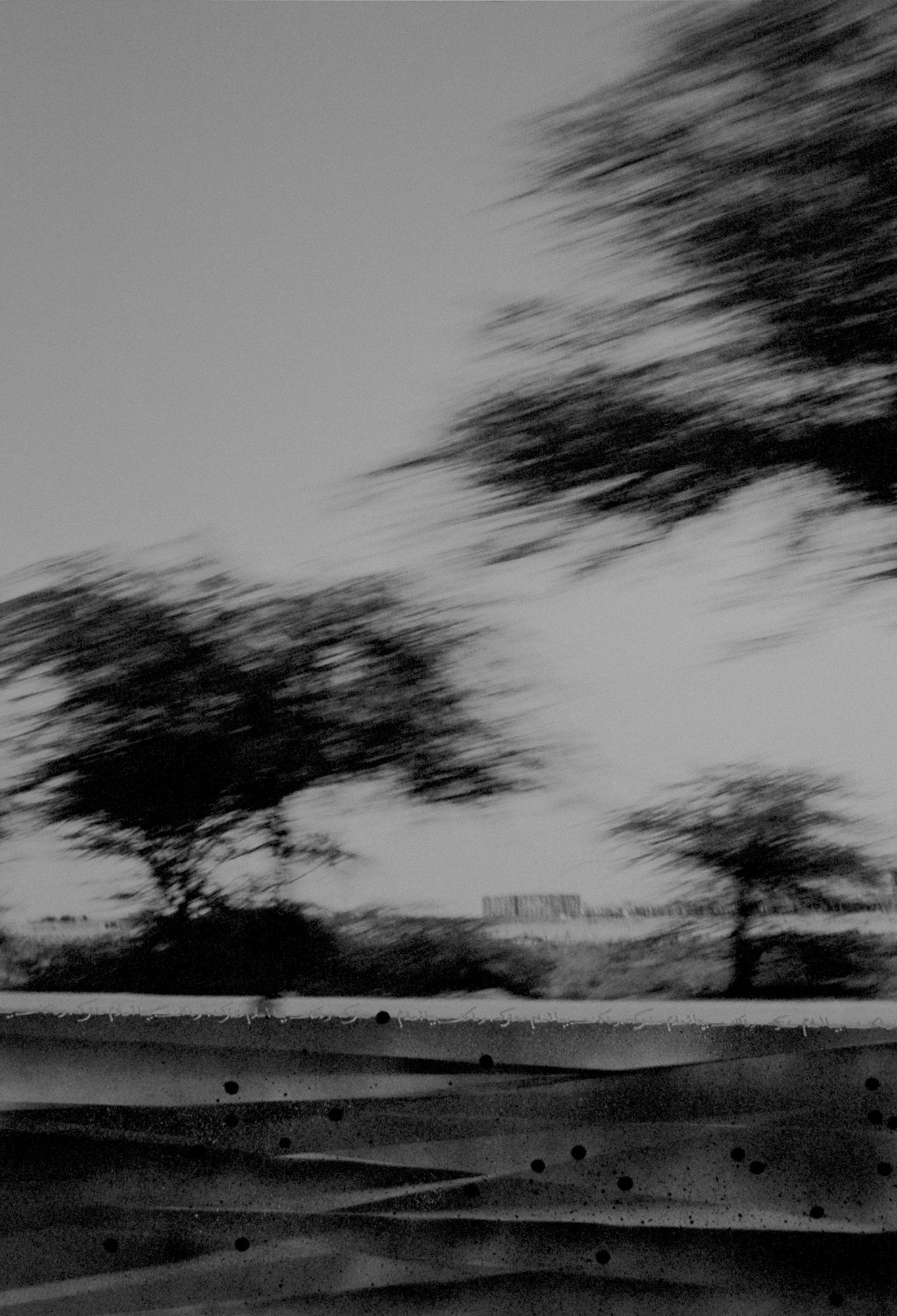 DRIVE BY SHOOTING III | طلق على الماشي 3 2010 Archival Gicl&eacute;e Prints on Hahnemule paper Mounted on Dibond | مطبوعات GICL&Eacute;E المحفوظة على ورقة HAHNEMULE مثبتة على DIBOND 100 x 55 x 2 cm