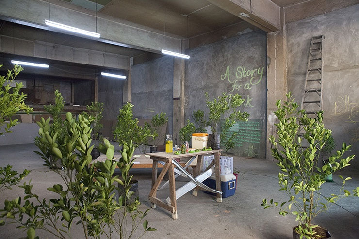 500 Lemon Trees, Manila Research Installation, mixed media, 2014, dimension variable Photographer: Huang Chien-Yu, Project Glocal:TRANSI(EN)T MANILA Teoff Center, Escolta St. Binondo Manila, Philippine