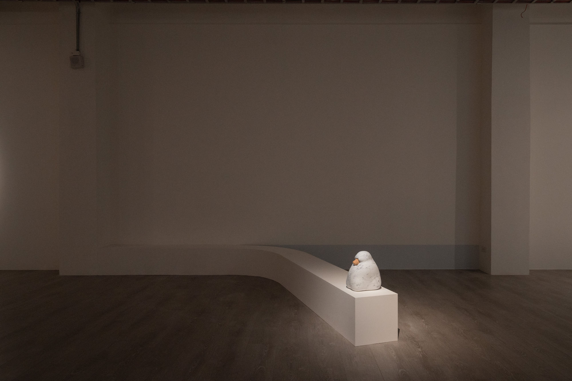 吳瑋庭：奇異寓所