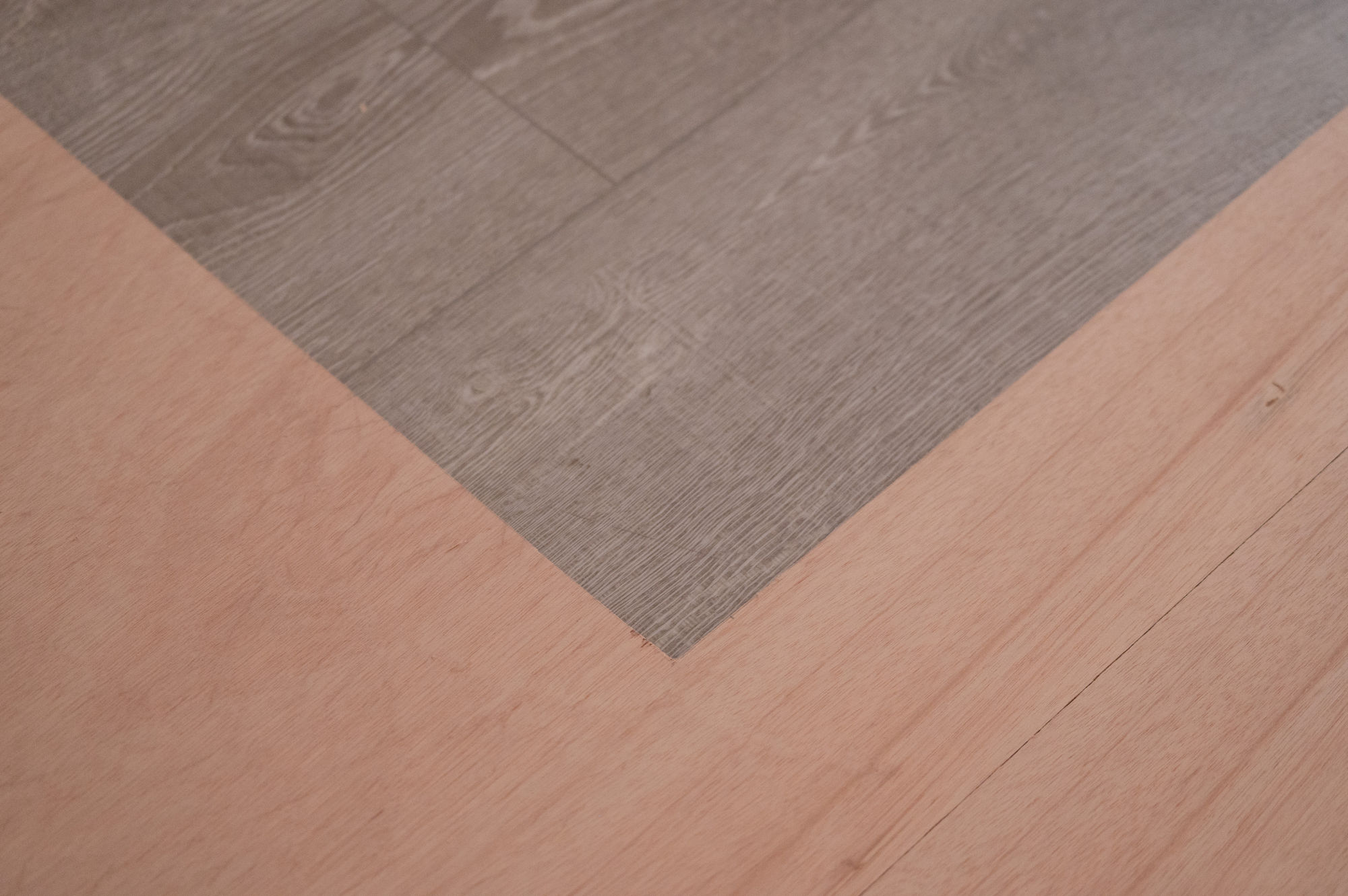 吳瑋庭：奇異寓所