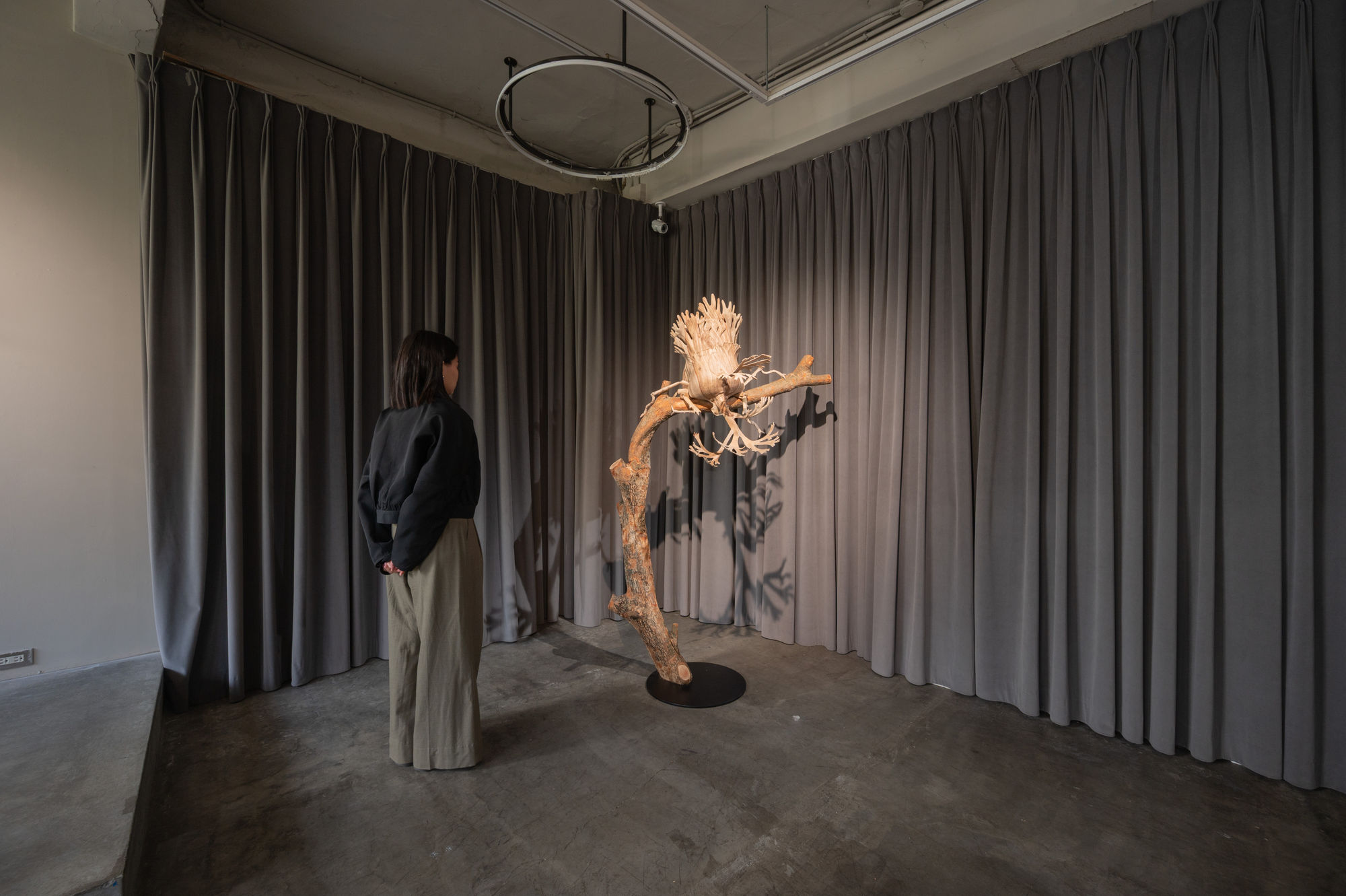 陳家邦：安棲之所