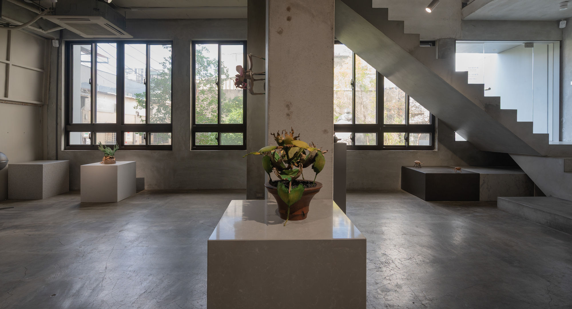 陳家邦：安棲之所