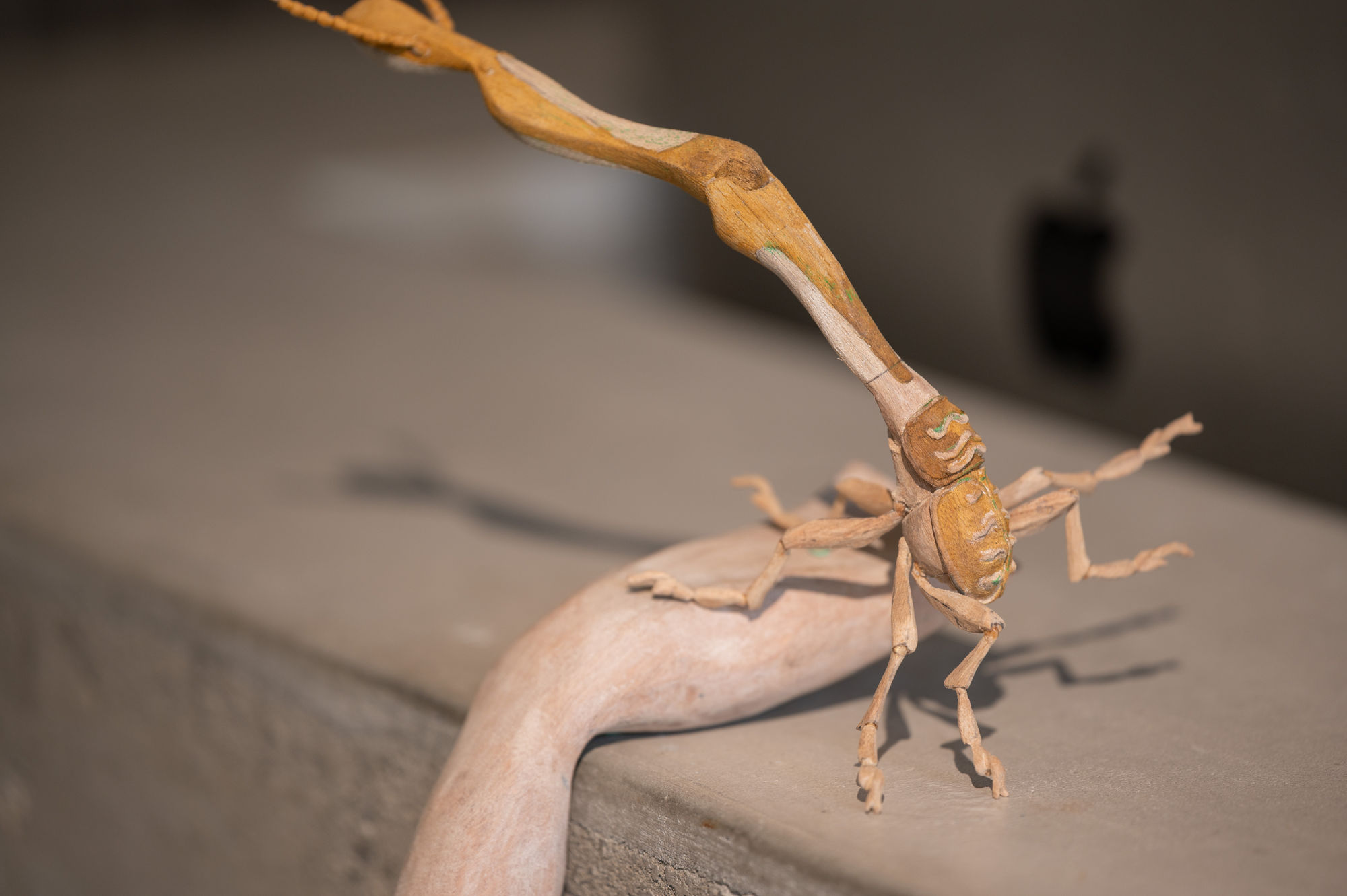 陳家邦：安棲之所