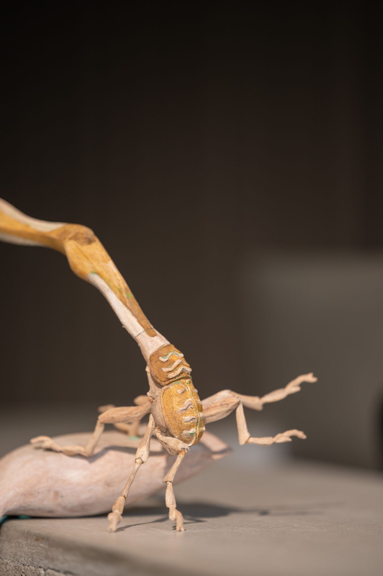 陳家邦：安棲之所