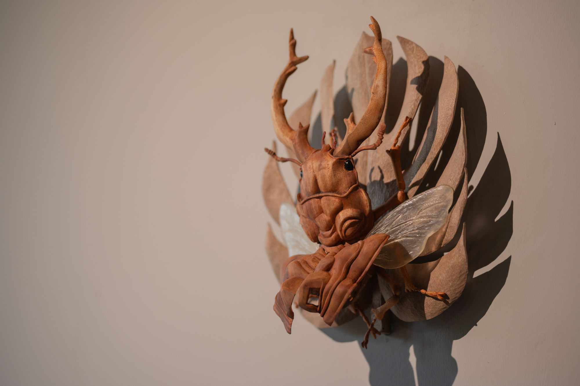 陳家邦：安棲之所