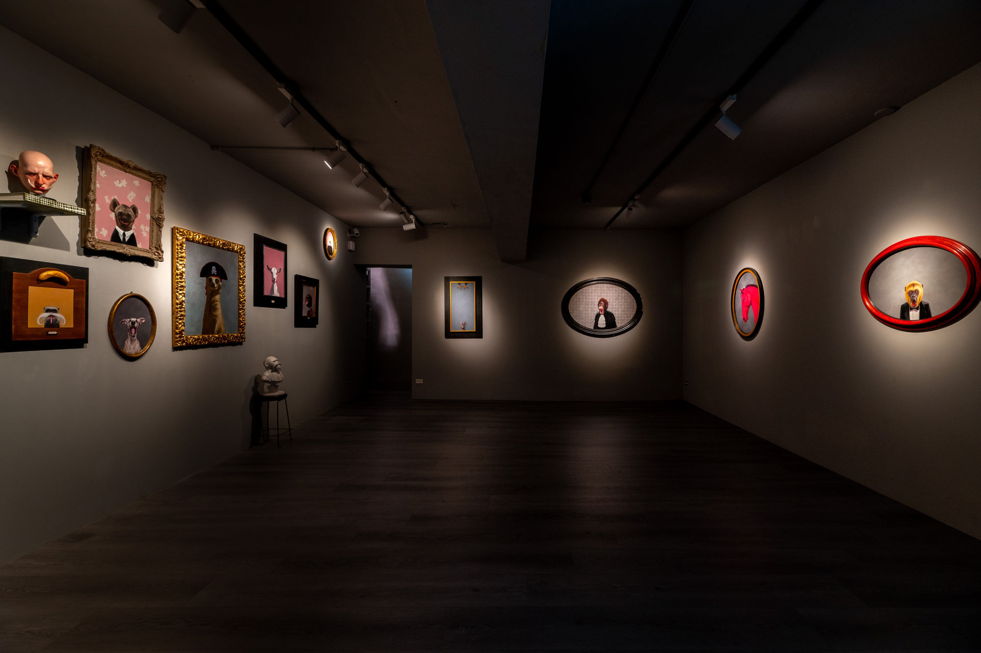 丹尼爾．蘇維勒斯．范弗：忘了自己是動物的人類