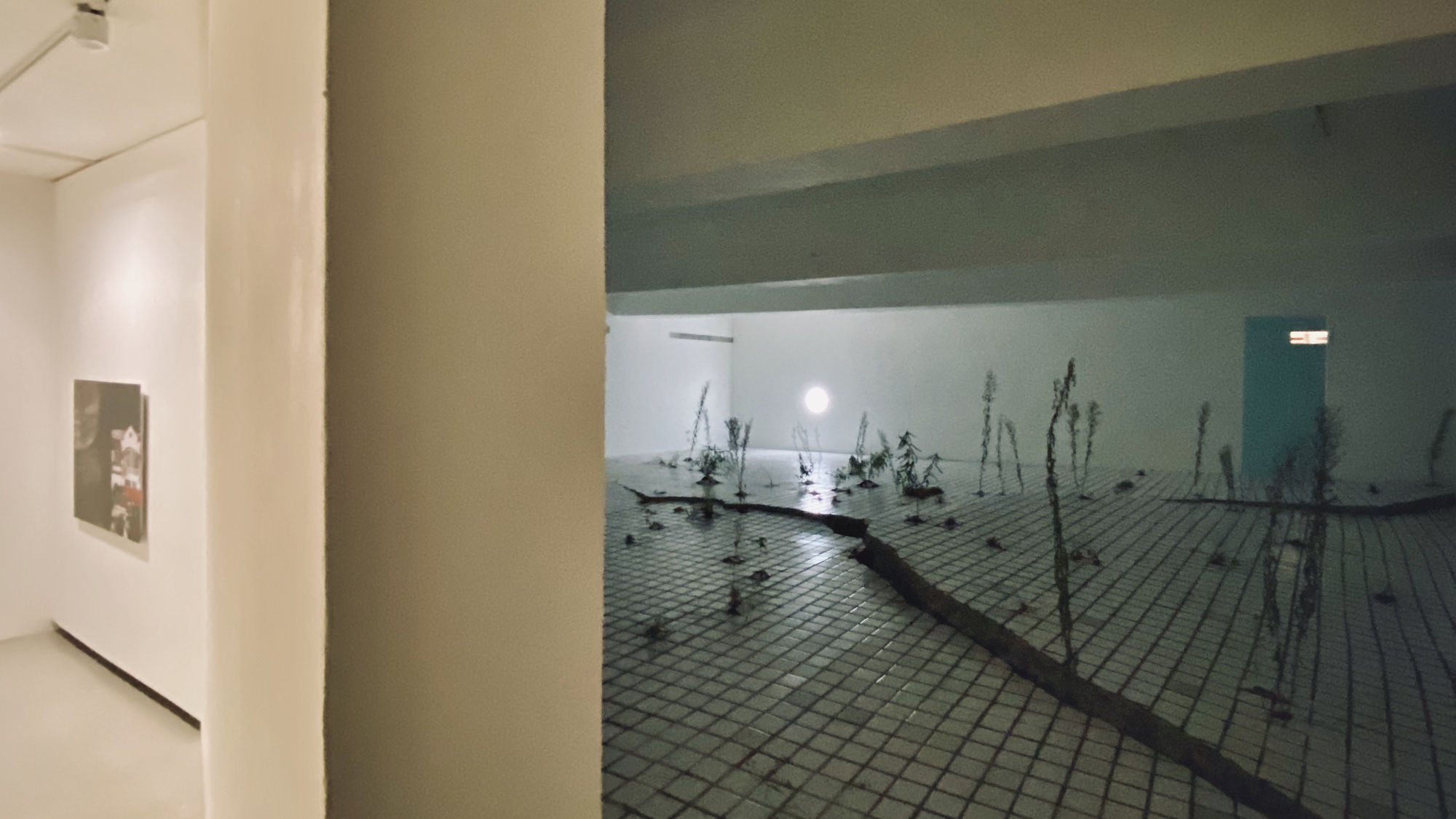 王煜松：兩個福爾摩沙