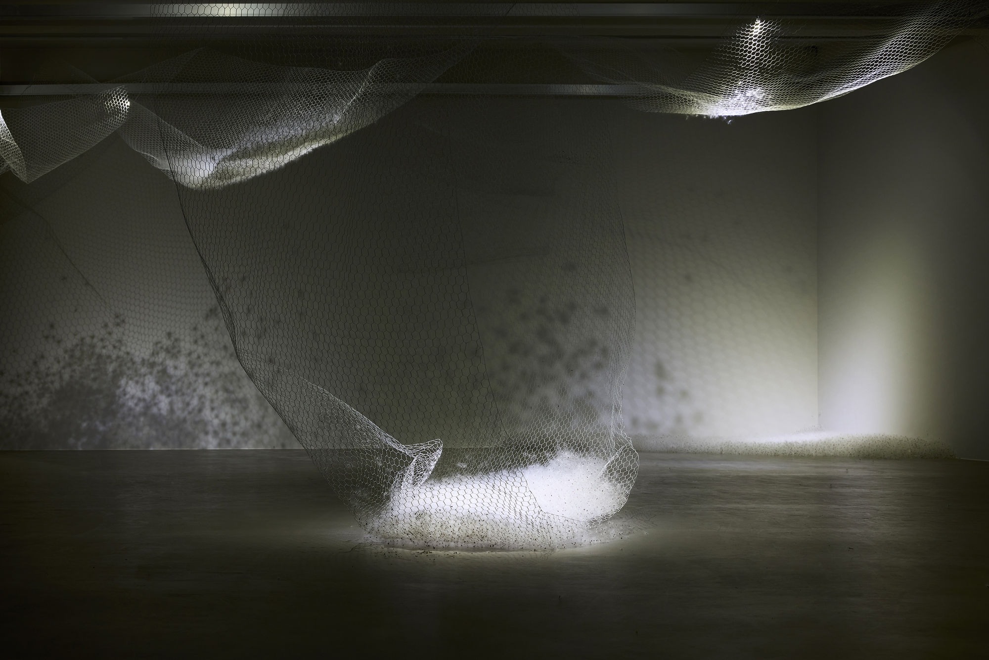 When the water rises