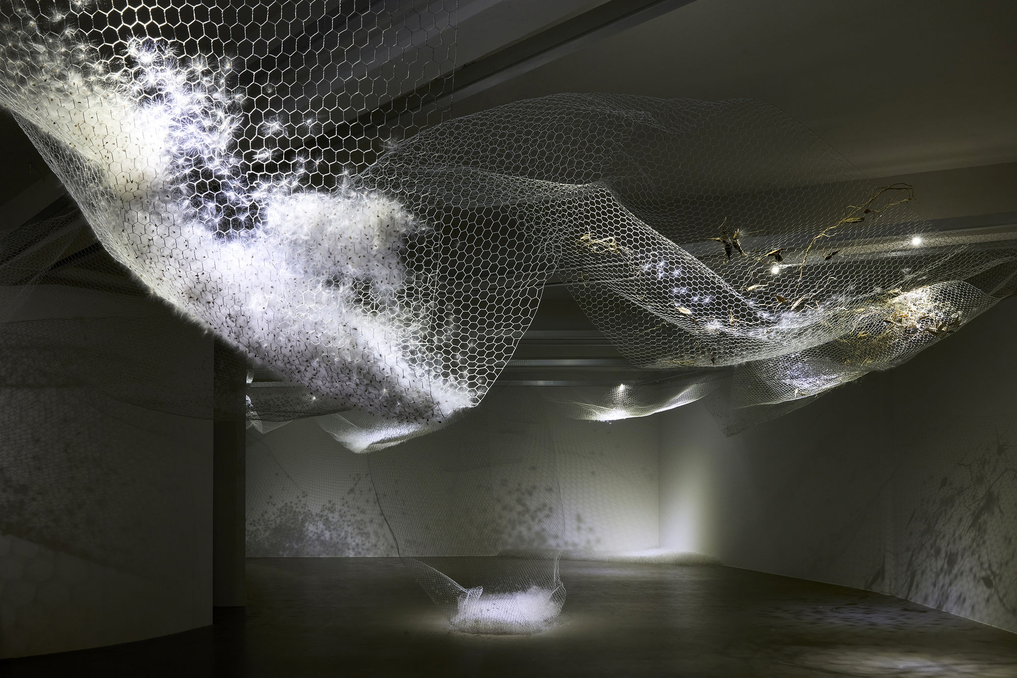 When the water rises