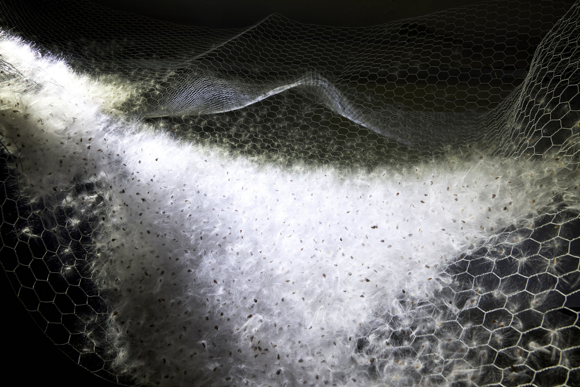 When the water rises