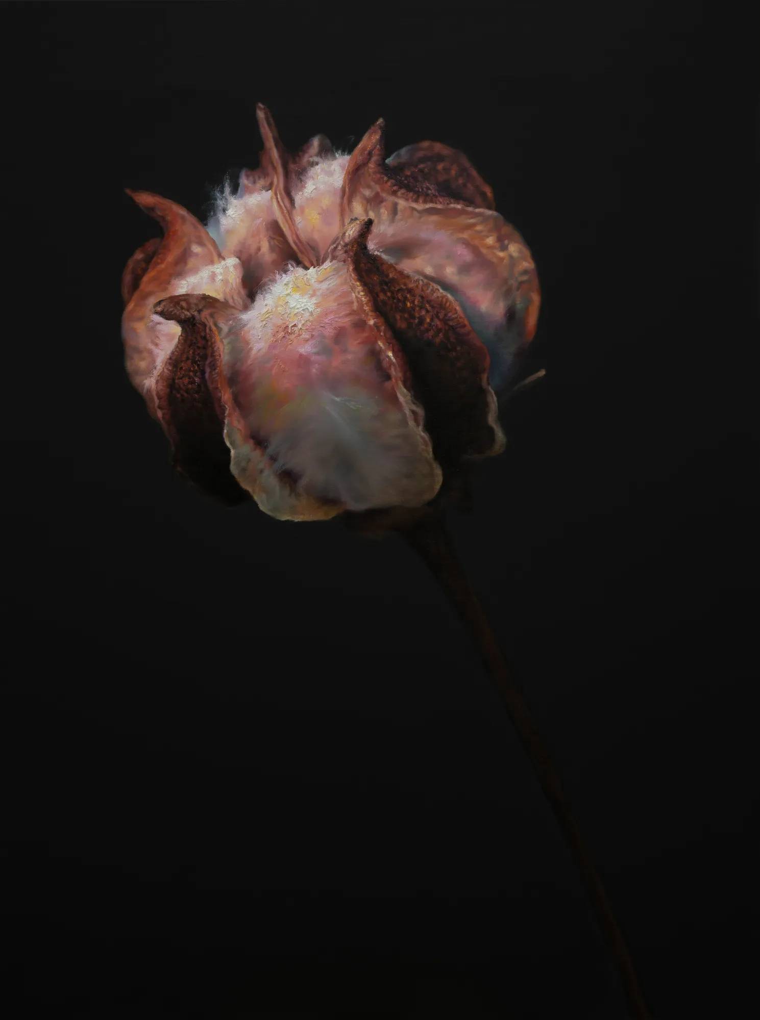 Kang Kang Hoon After Sunset 2023 Oil On Canvas 130 x 97cm 14,000 USD