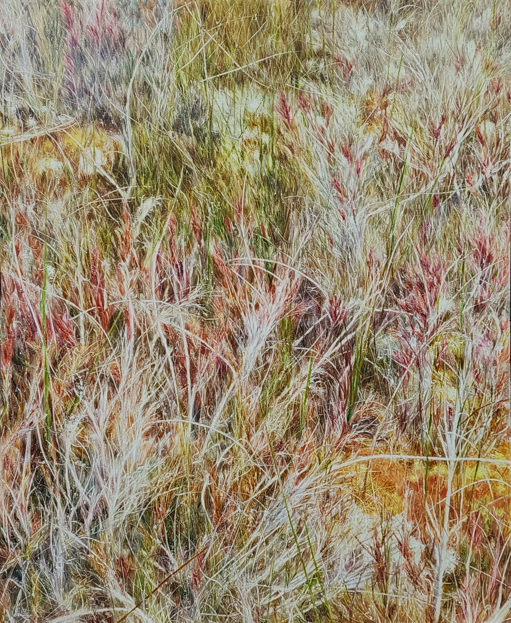 Lee Kwang-Ho Untitled 4812-1, 2025 Oil on canvas 162.2 x 130.3 cm $35,000 USD