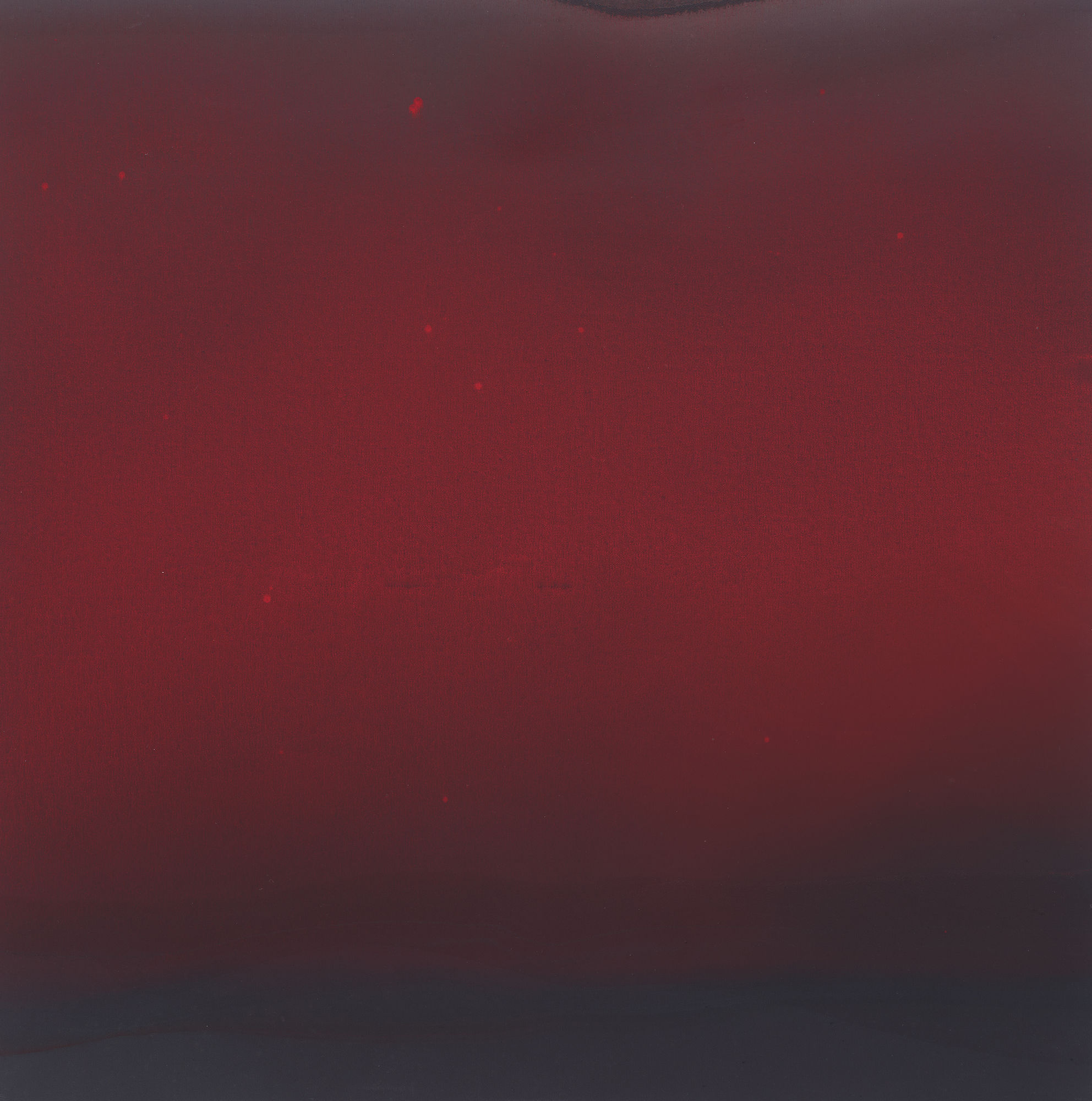 Kim Taek Sang Breathing light-Flow 26-6, 2026 Water acrylic on canvas 45 x 45 cm $10,000