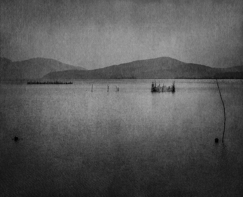 FLORE, Matin de paix, Tirage pigmentaire sur Gampi sur feuille d’or 24 carats, 24 x 30 cm