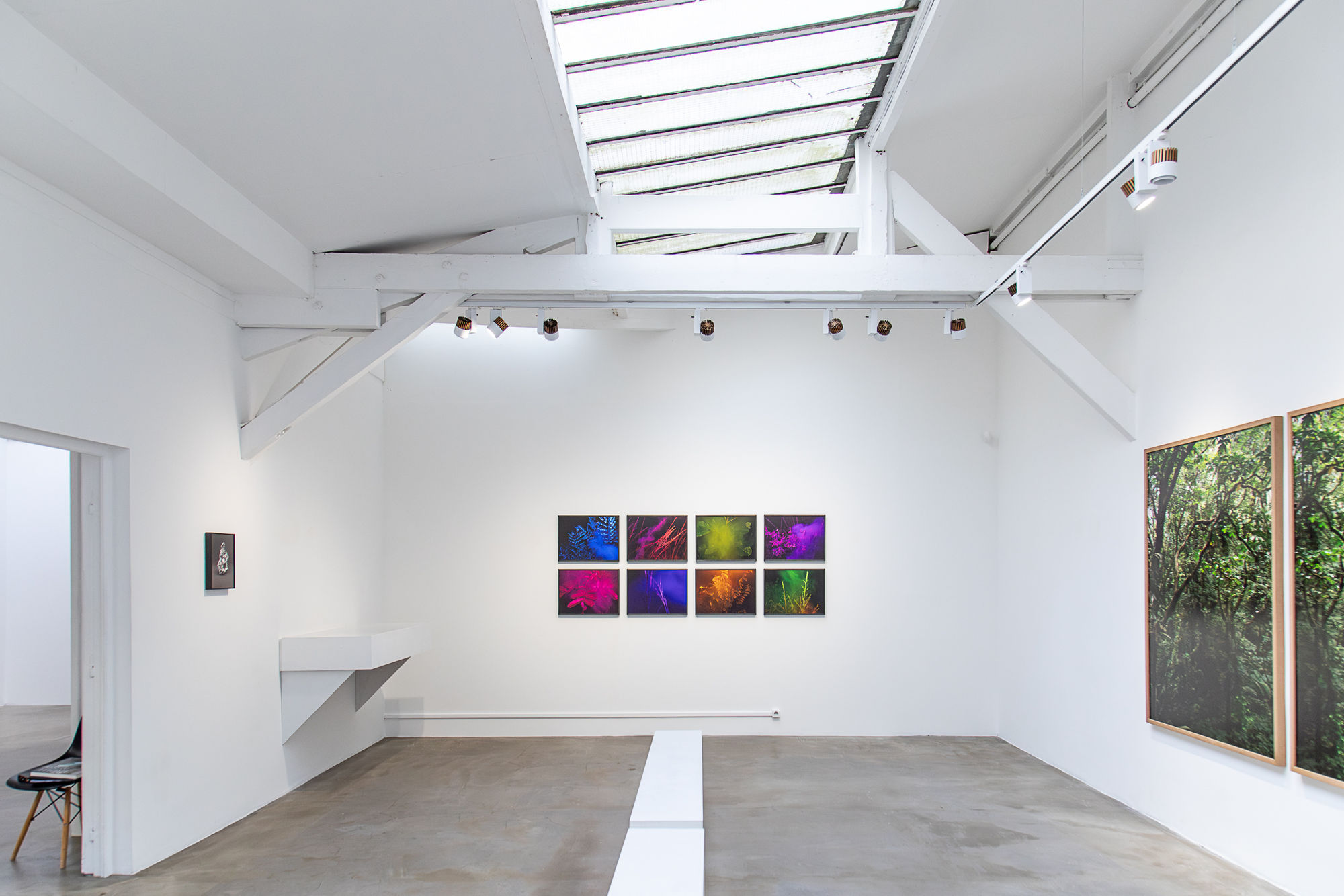 La lenteur des règnes